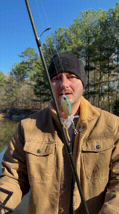 Transparent PVC bait protective case